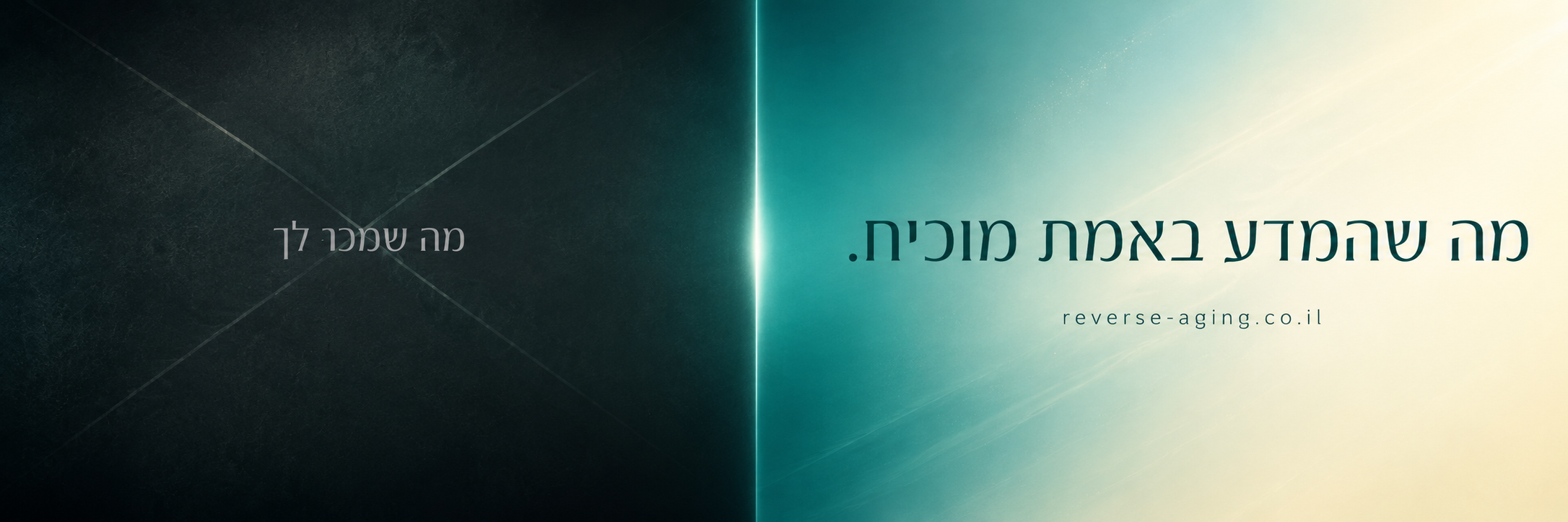 רוורס אייגינג 3