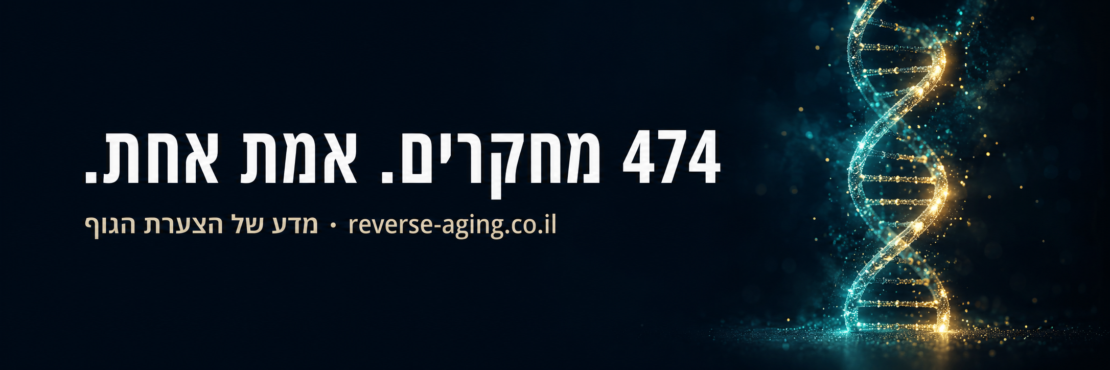 רוורס אייגניג 7